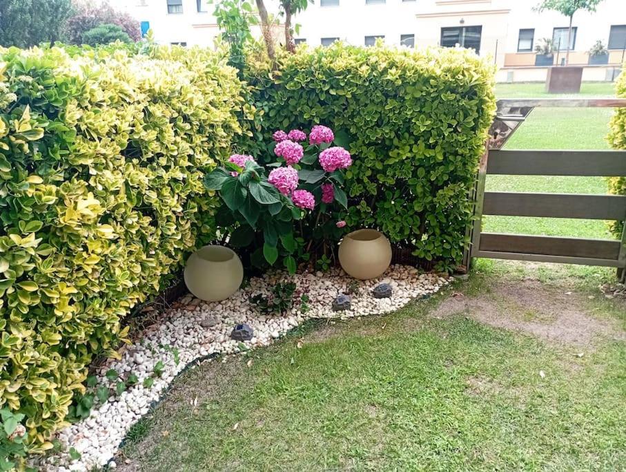 Apartamento En Primera Linea De Mar Roses Zewnętrze zdjęcie