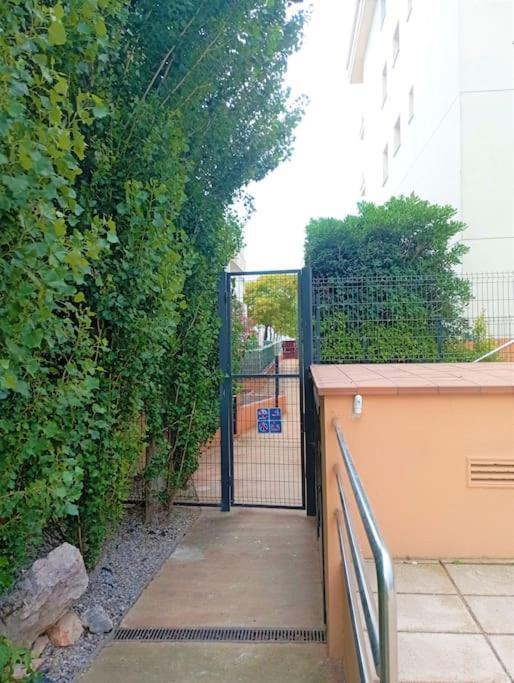 Apartamento En Primera Linea De Mar Roses Zewnętrze zdjęcie